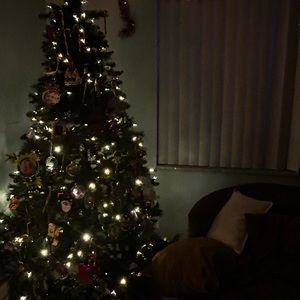 Meet your Posher, Skyla